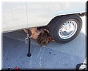 capdagde13.jpg